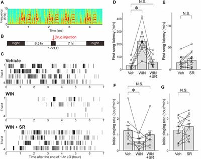 Contribution of Endocannabinoids to Intrinsic Motivation for Undirected Singing in Adult Zebra Finches